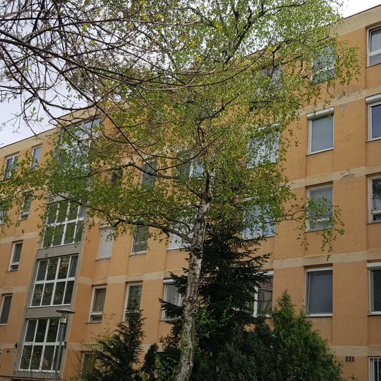 Gealan S-8000-IQ ablak ablakszárny ablaktok társasház nyílászáró lépcsőház nyíló bukó középfelnyíló olcsó erkélyajtó ajtó bejárat osztott tokosztott sorolt szerkezet